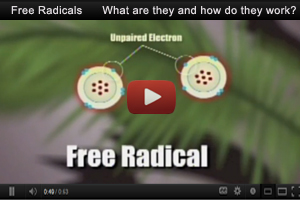 Free Radicals.... What are they and How do they effect us?